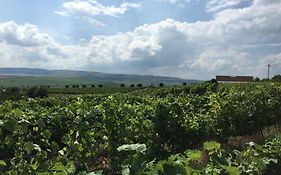 Transylvania Wine